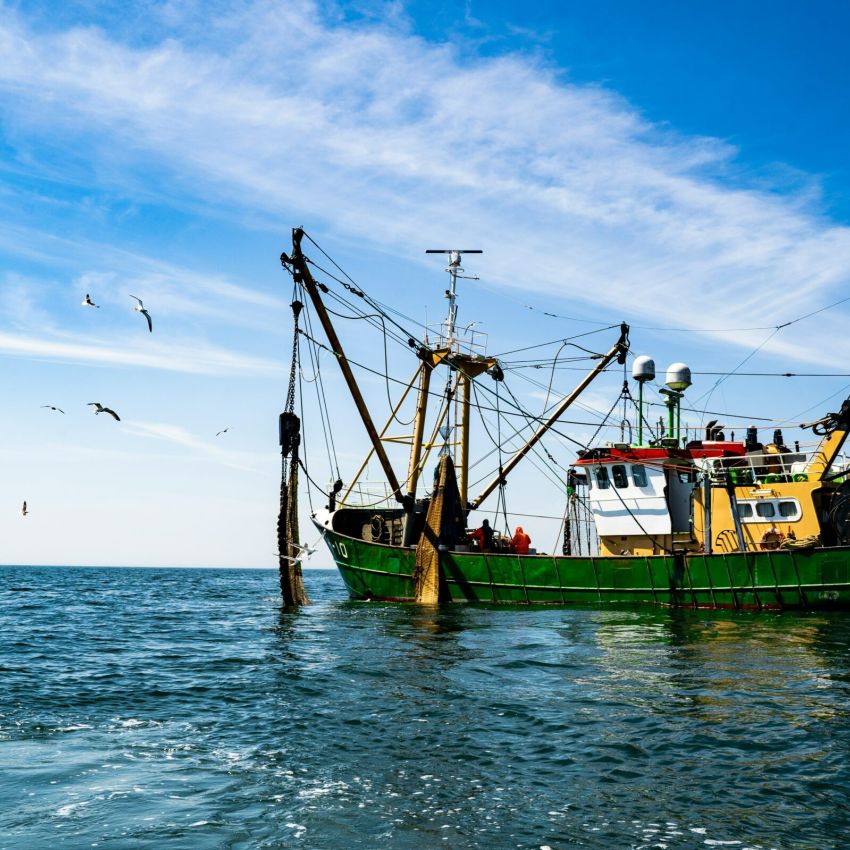 courtage professionnel pour pêcheurs